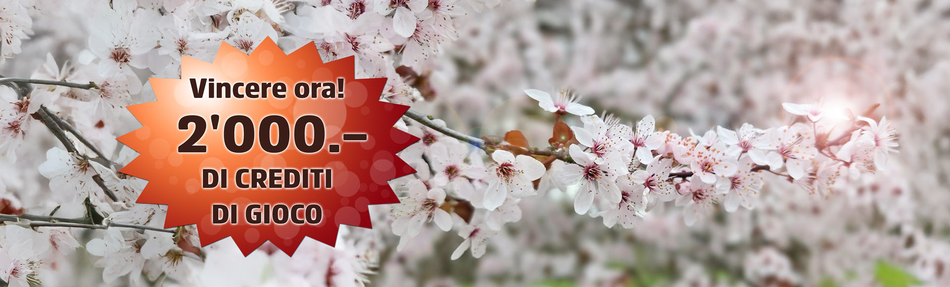 Sorteggio mensile di aprile 2026